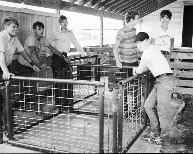 Boys in the barn