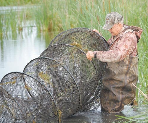 Rupp, grandson trap turtles to compete in local races