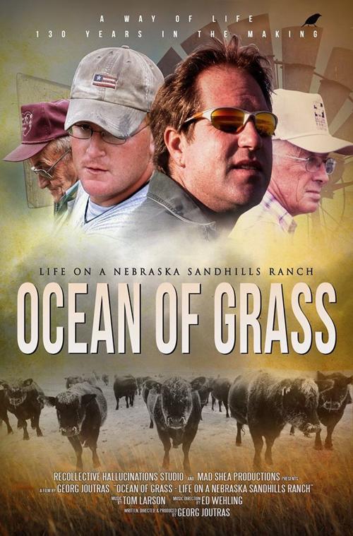 Ocean of Grass