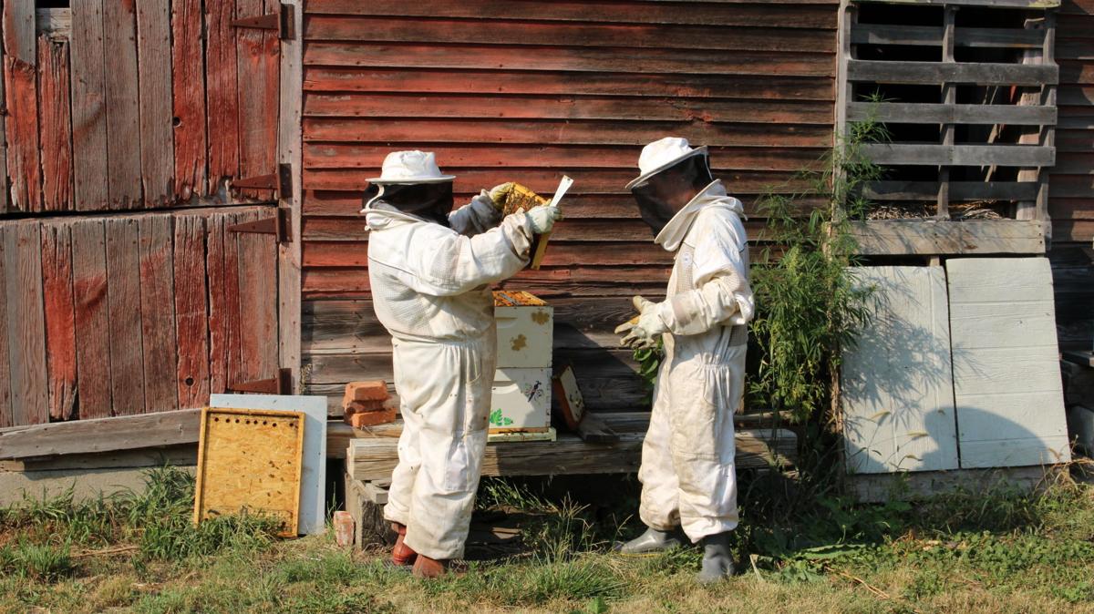 Beekeepers