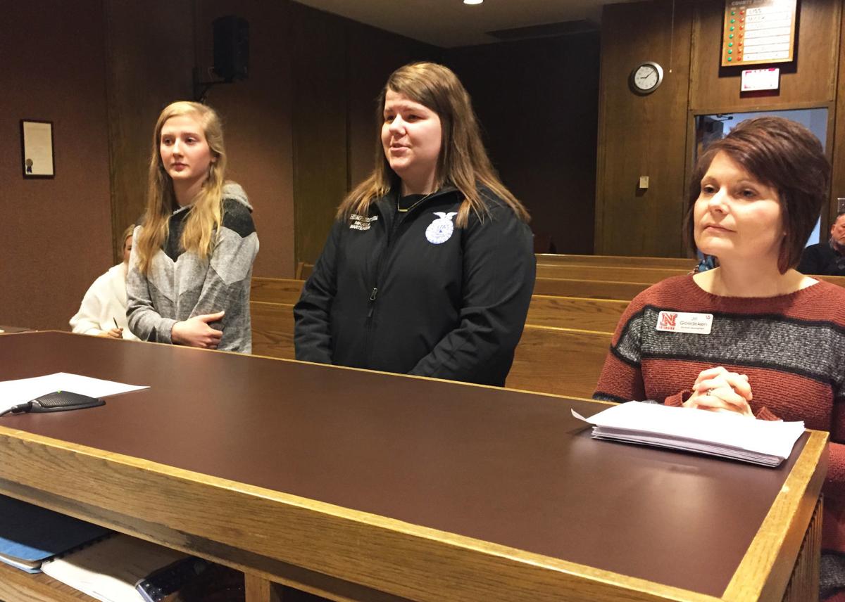 February 4 County Board 2