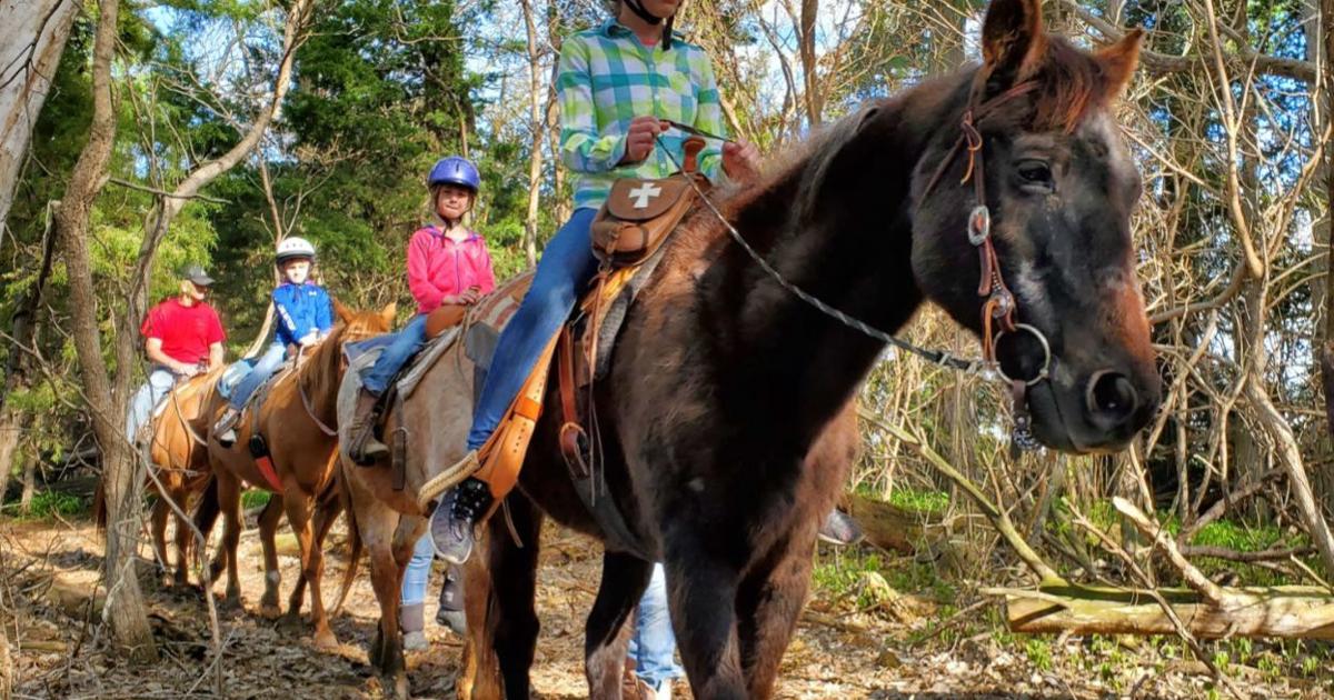 Butler's Riding School Butler County horseback riding business enters its fourth year