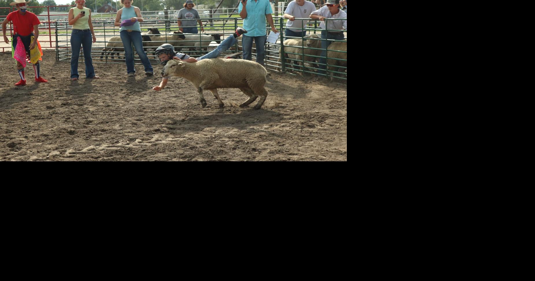 Scenes from Platte County Fair 2023