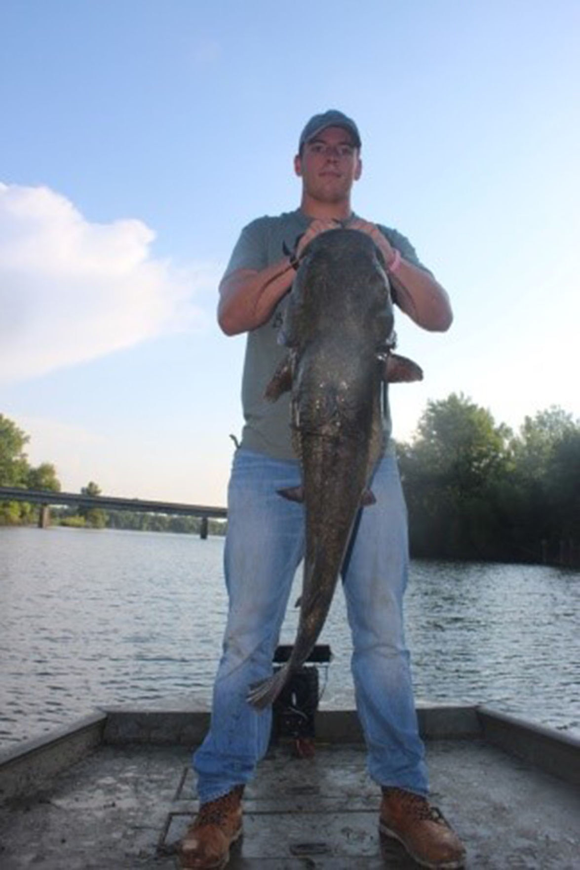 Flathead catfish