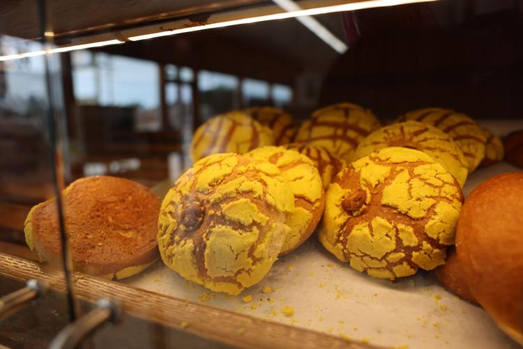 Conchas at Chichihualco 2