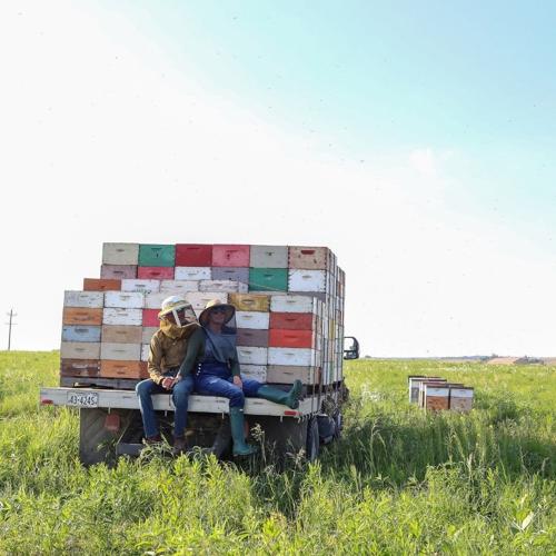 Bee truck