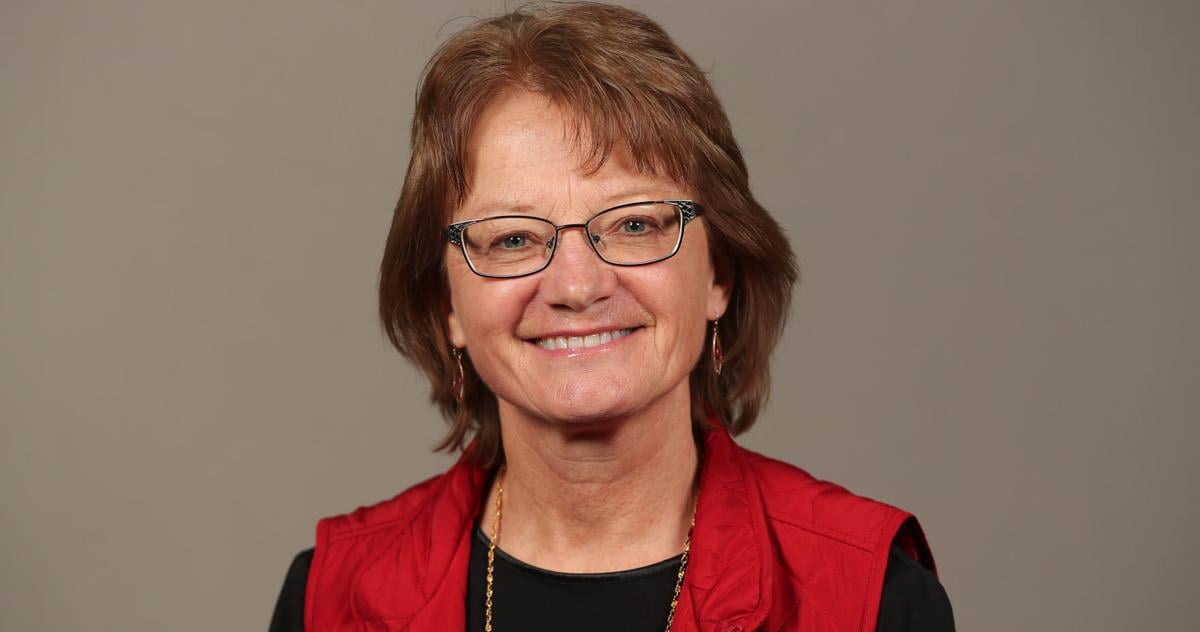 Mattress bugs and bat bugs Bed bugs and bat bugs