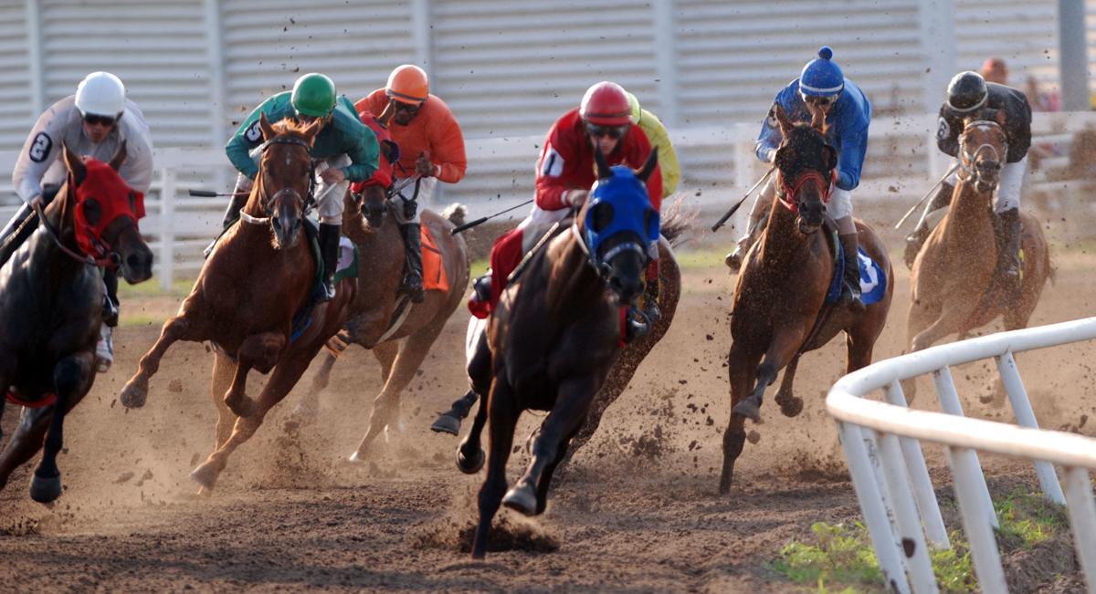 The hamiltonian horse race