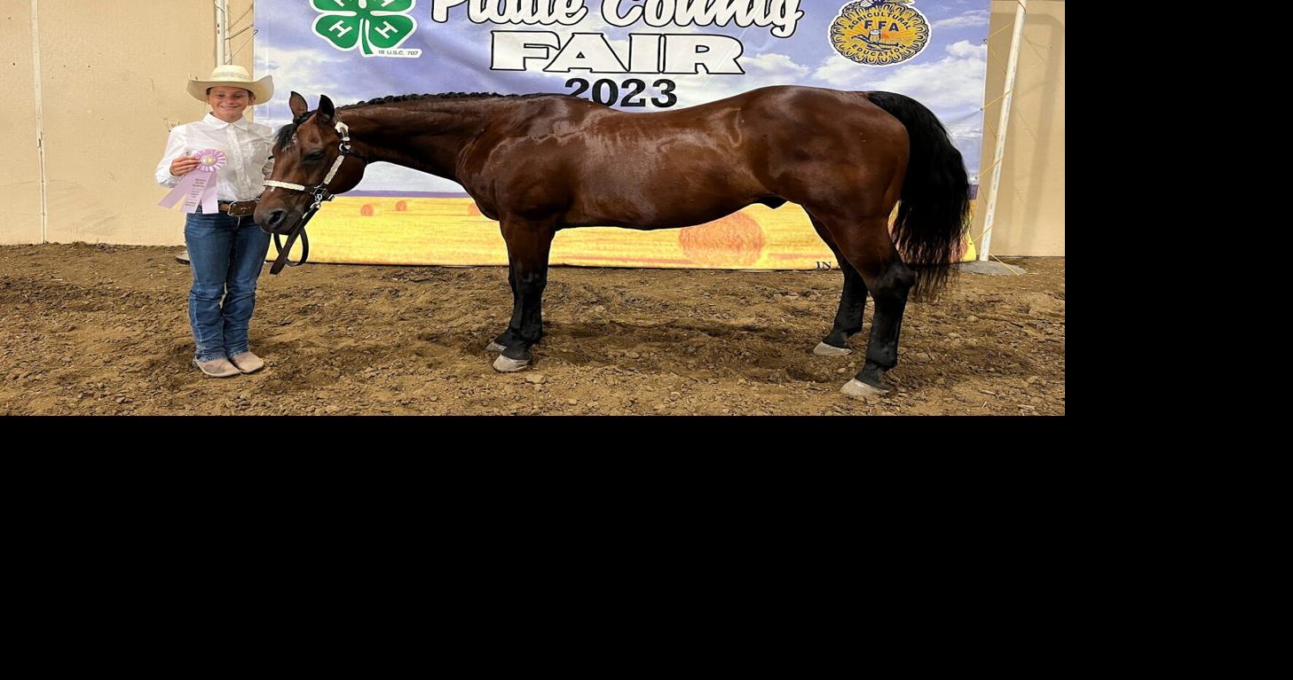 Platte County Fair Horse Grand and Reserve Champions