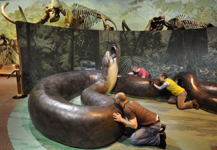 biggest snake fossil ever found