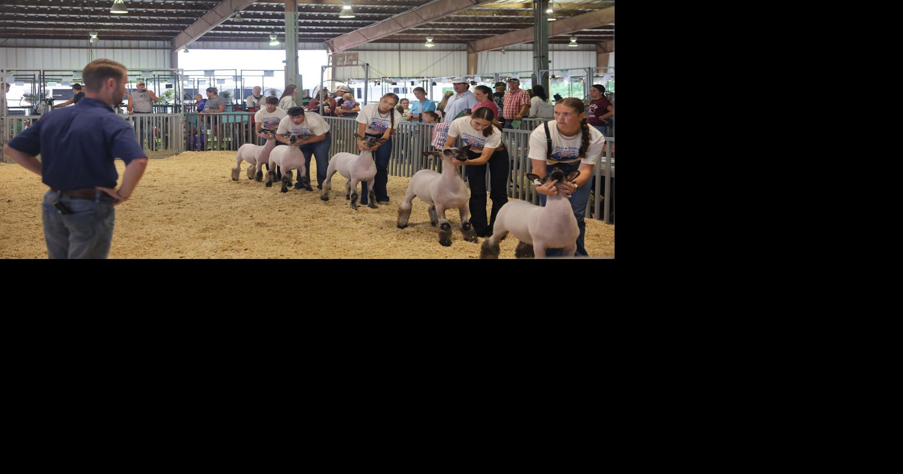 Reardon, Sanne senior sheep showmanship champs at Platte County Fair