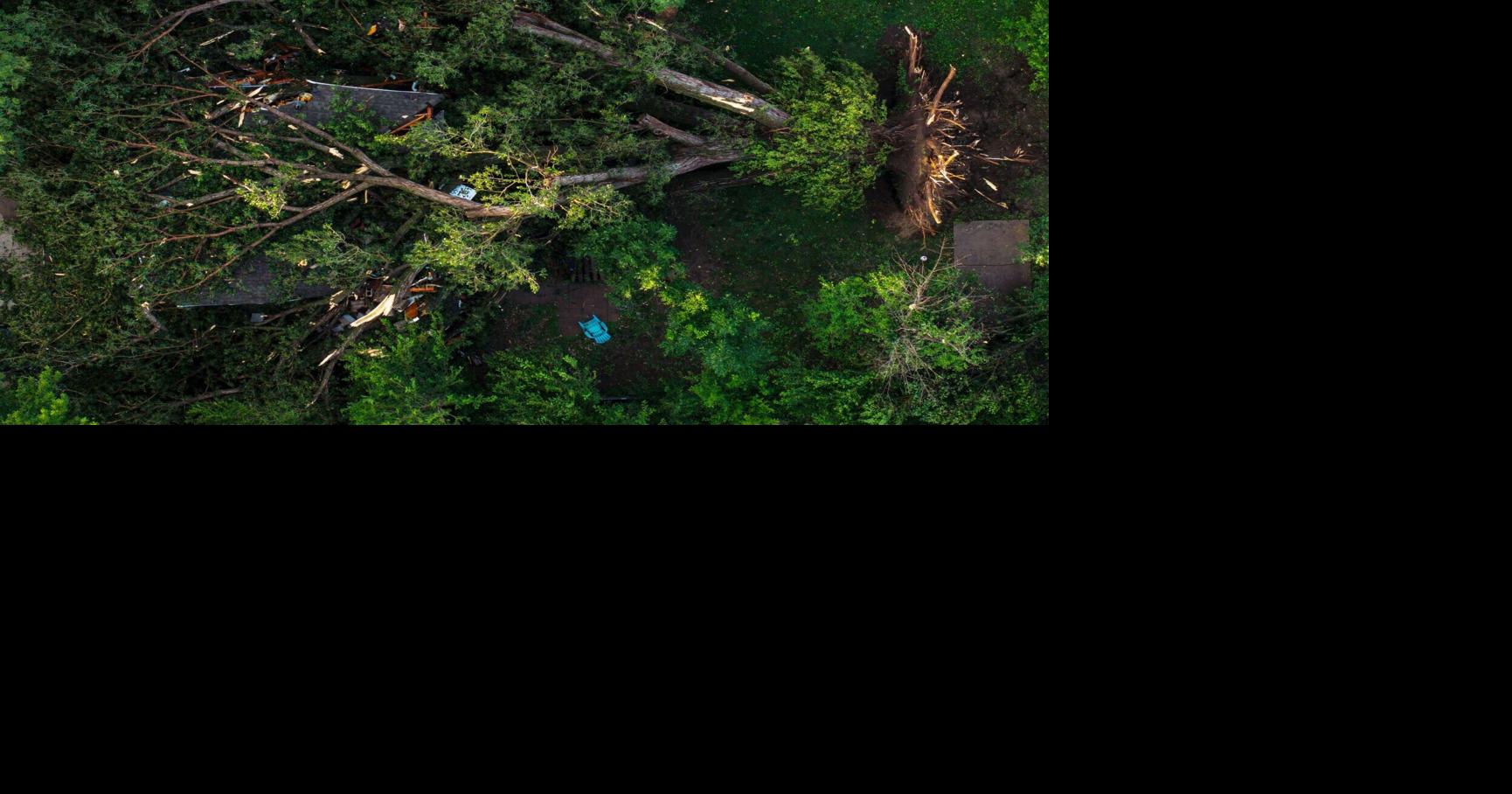 Photos: Wednesday night storm causes tree to fall on Papillion house Chris Machian World-Herald Photographer Jul 9, 2026 Jul 9, 2026 Updated 2 hrs ago