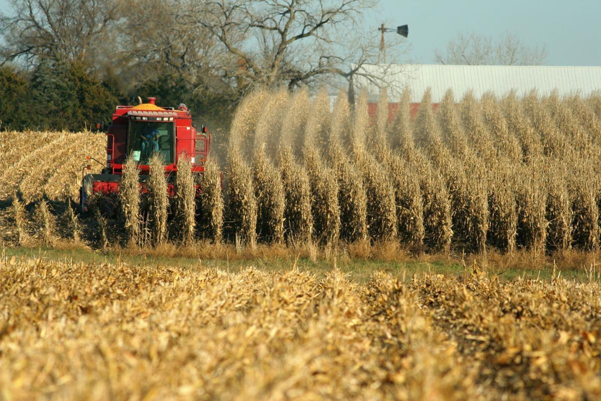 farming