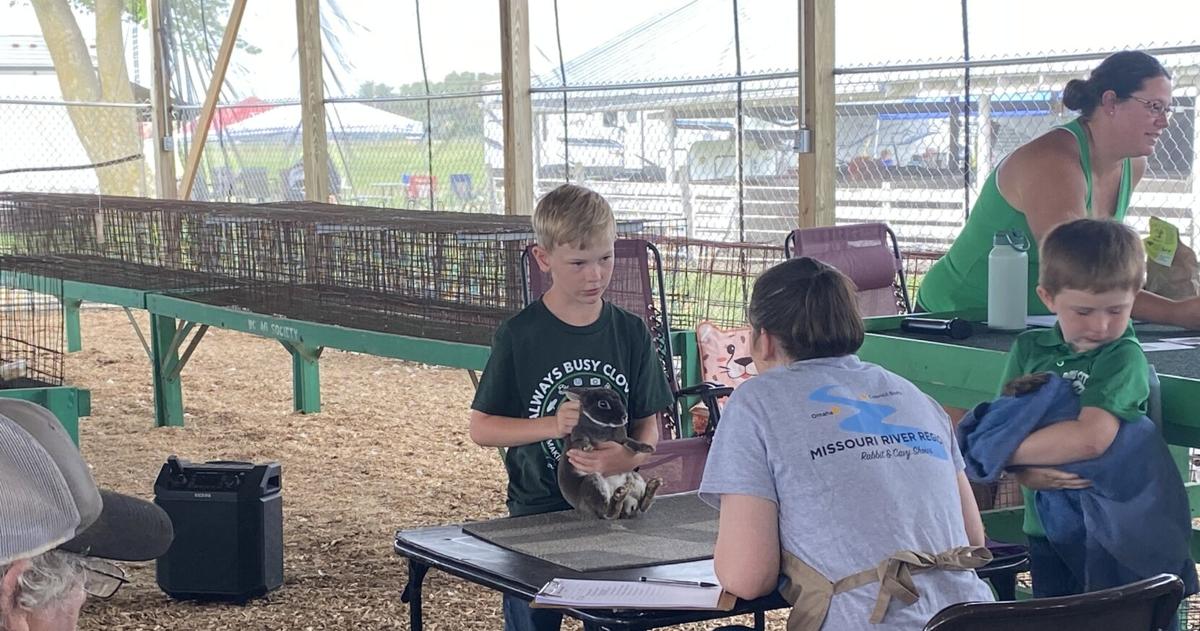 Butler County Fair Rabbits