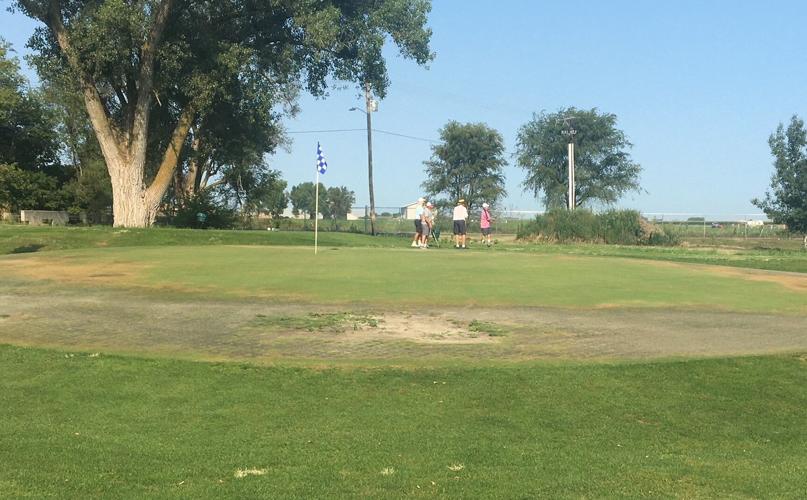 Saving the turtleback greens Golfers team up to rescue Schuyler Golf