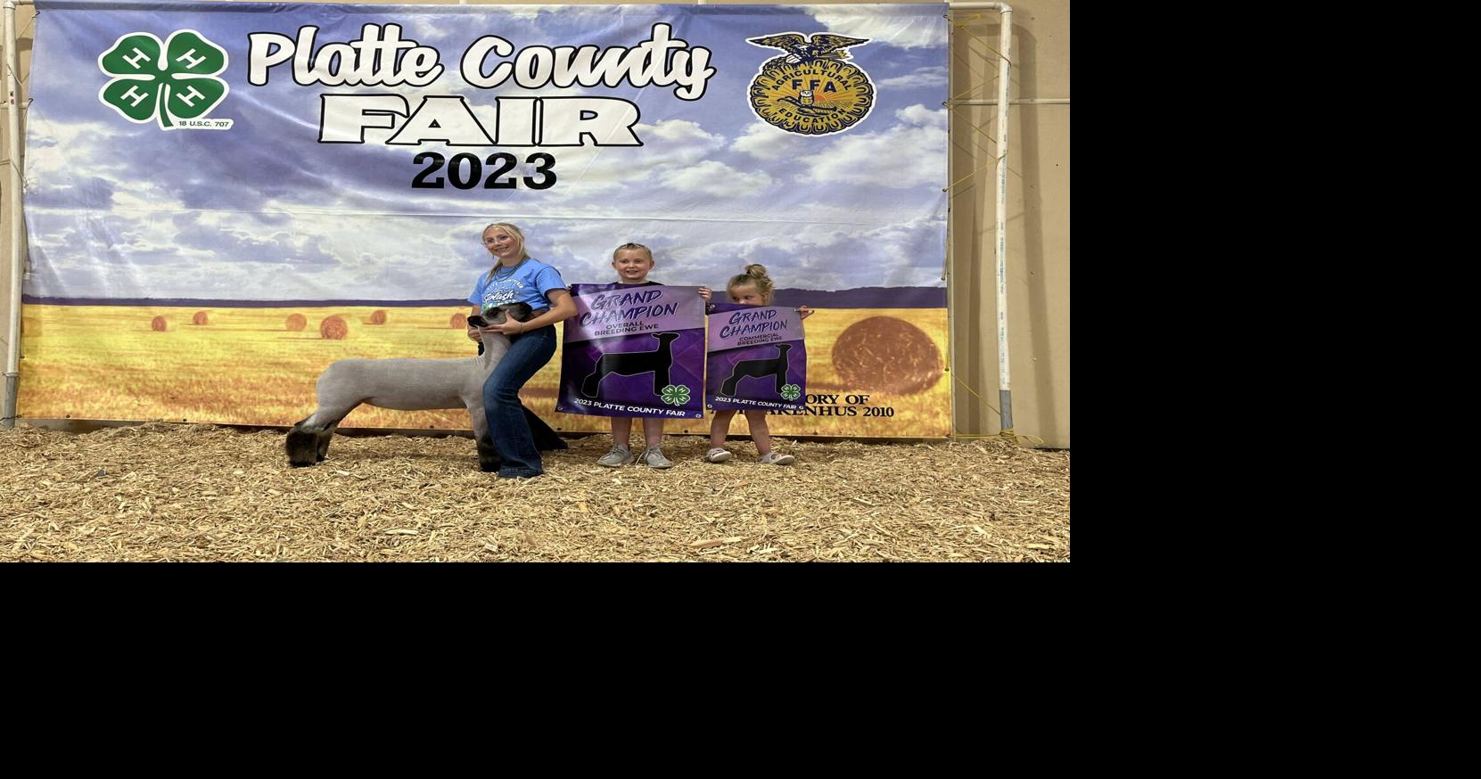 Platte County Fair Sheep Show