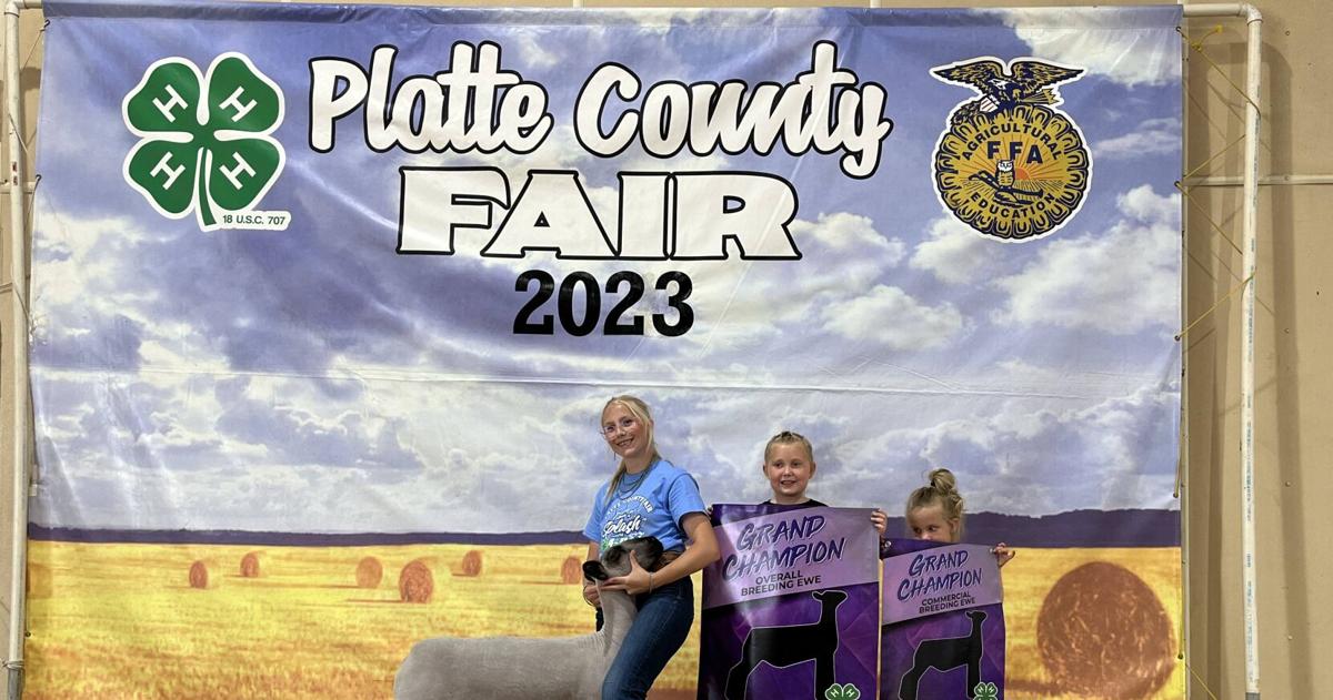 Platte County Fair Sheep Show