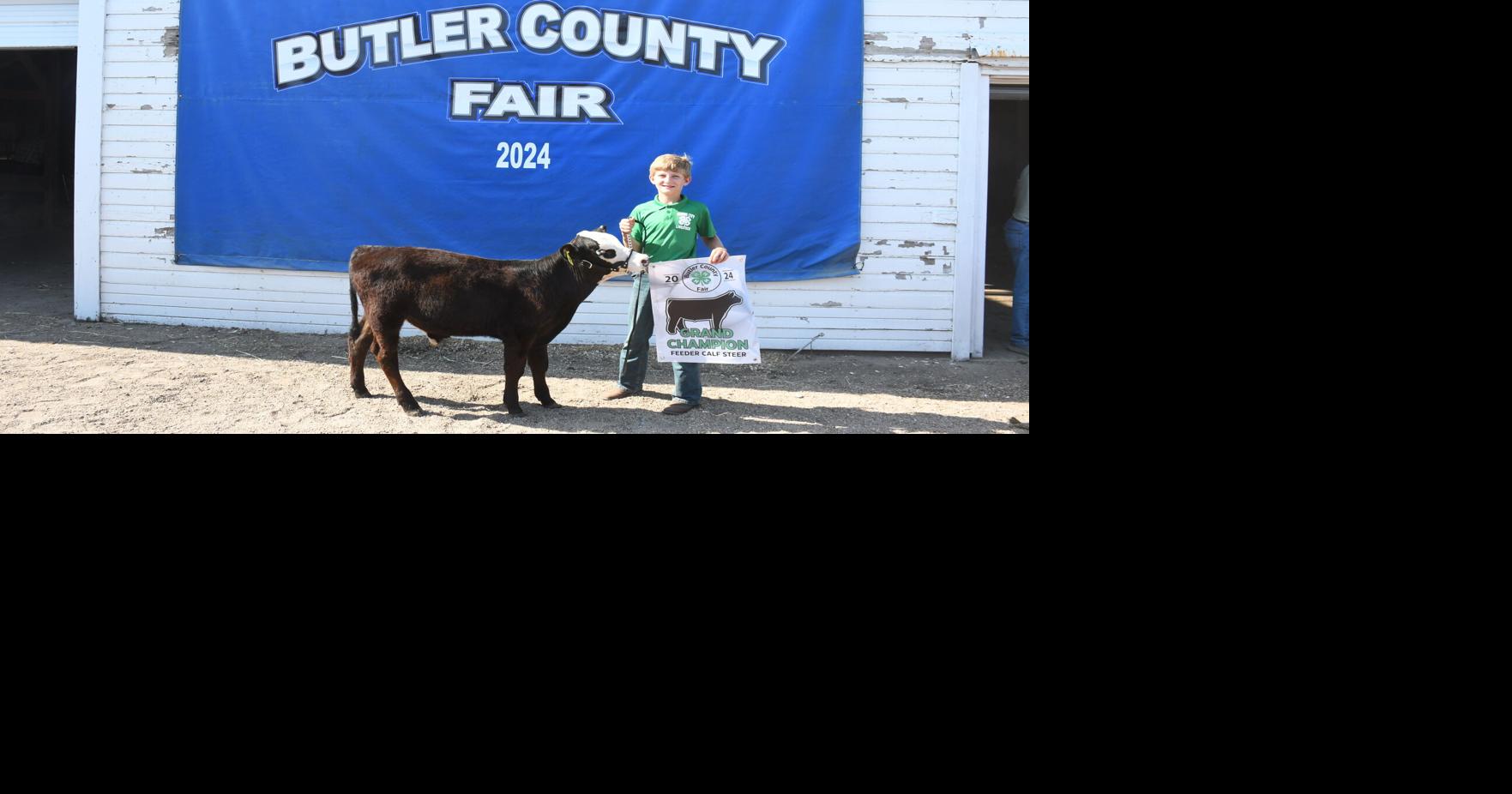 Butler County Fair: Beef Show