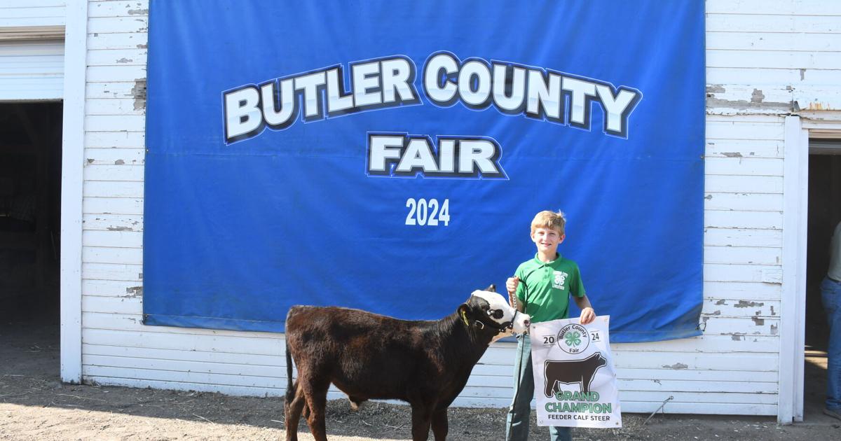 Butler County Fair: Beef Show