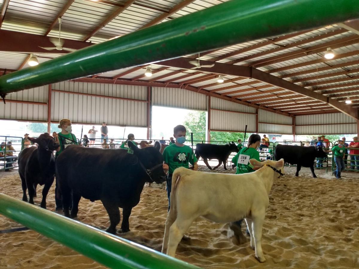 Colfax County Fair a family affair News