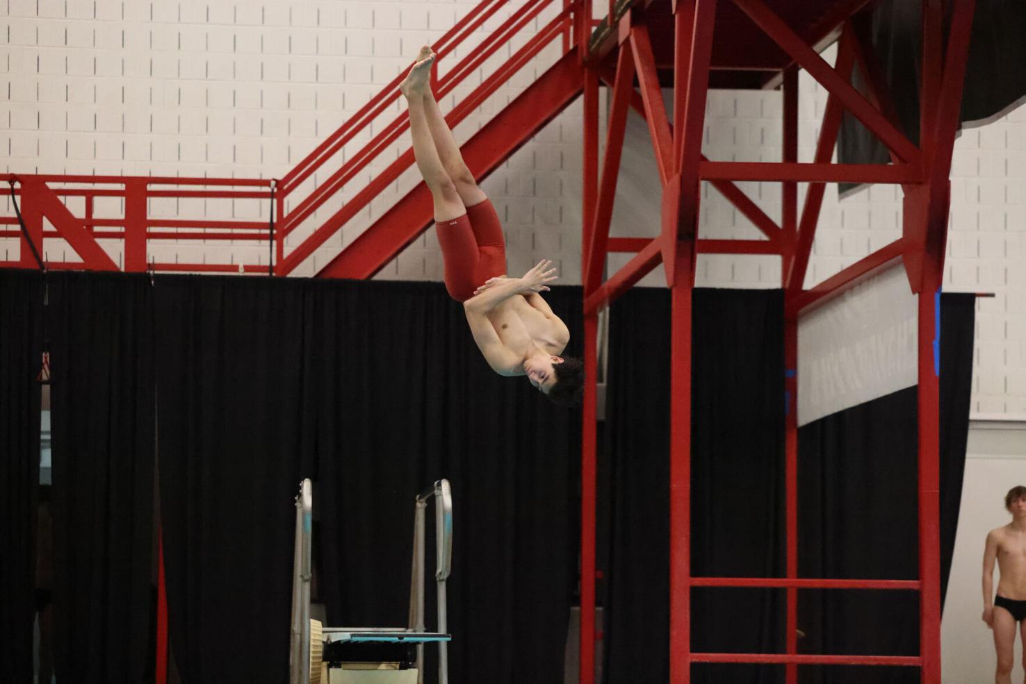 Columbus swimming and diving lay foundation at state