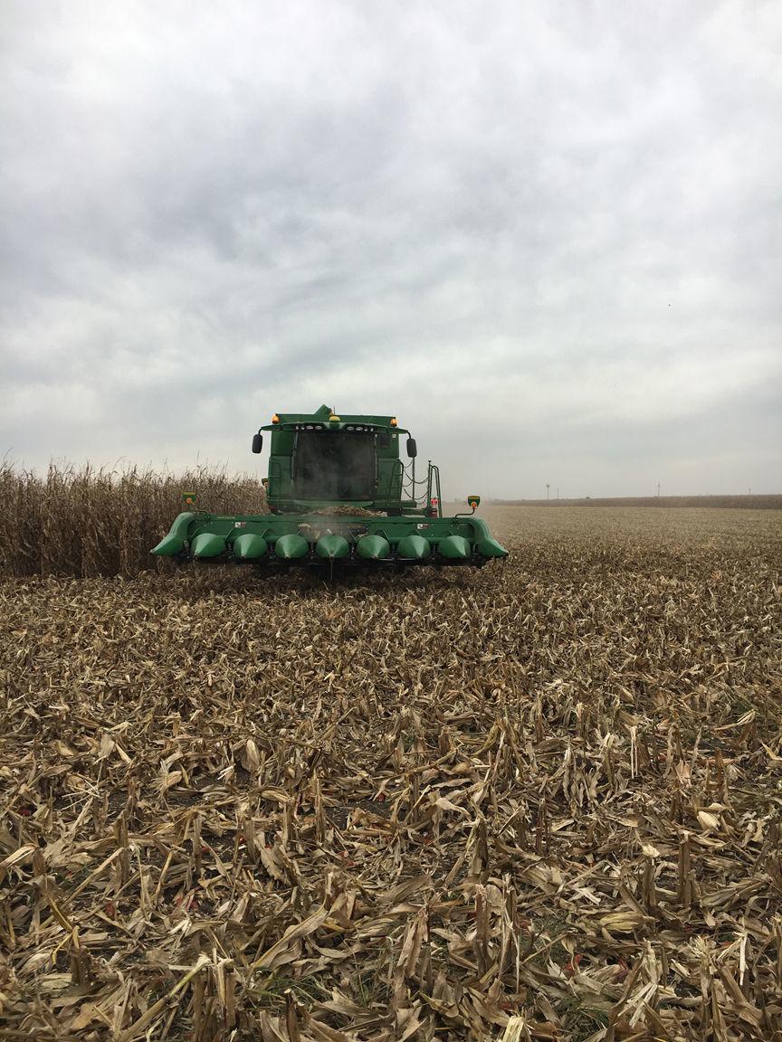Nebraska corn