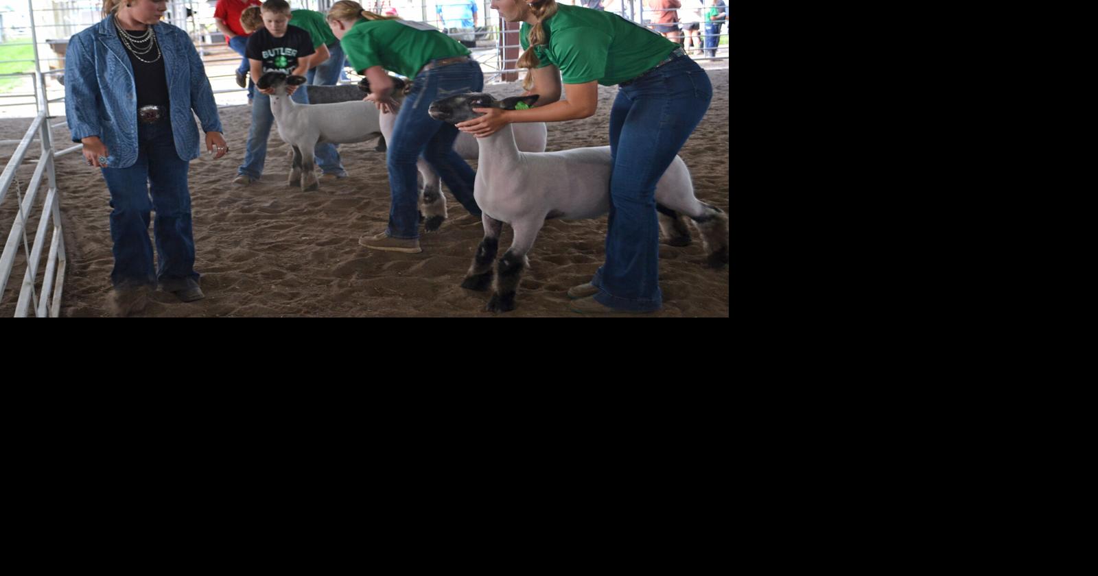 2025 Butler County 4-H and FFA Sheep Show