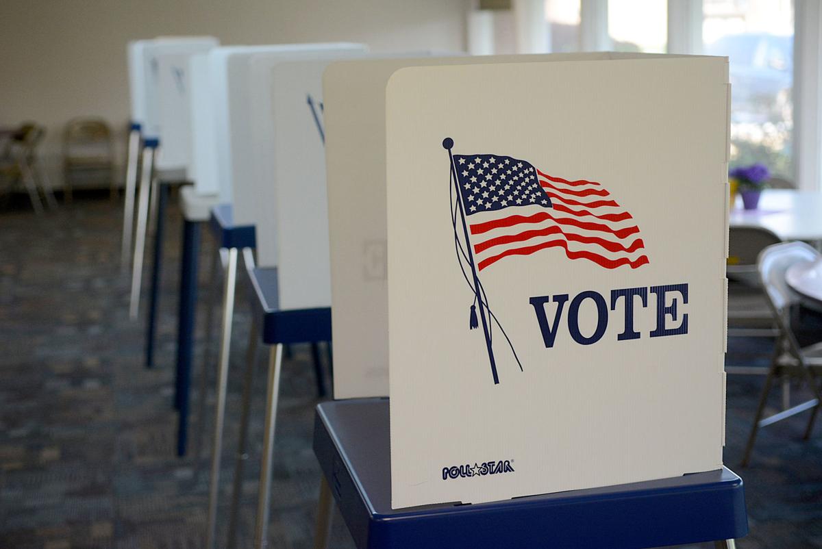 2020 Primary Election