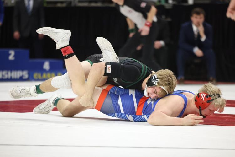 Dylan Brichacek
