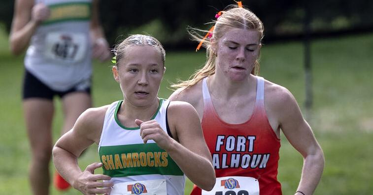 Photos: 2026 State Cross Country Meet Oct 27, 2026 41 mins ago