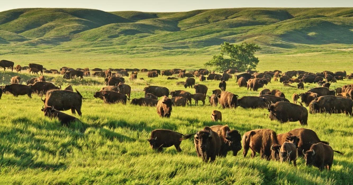 Ted Turner, longtime Nebraska land baron, still buying as next chapter nears - Vimarsana News