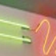 pizza god pays visit to columbus local columbustelegram com