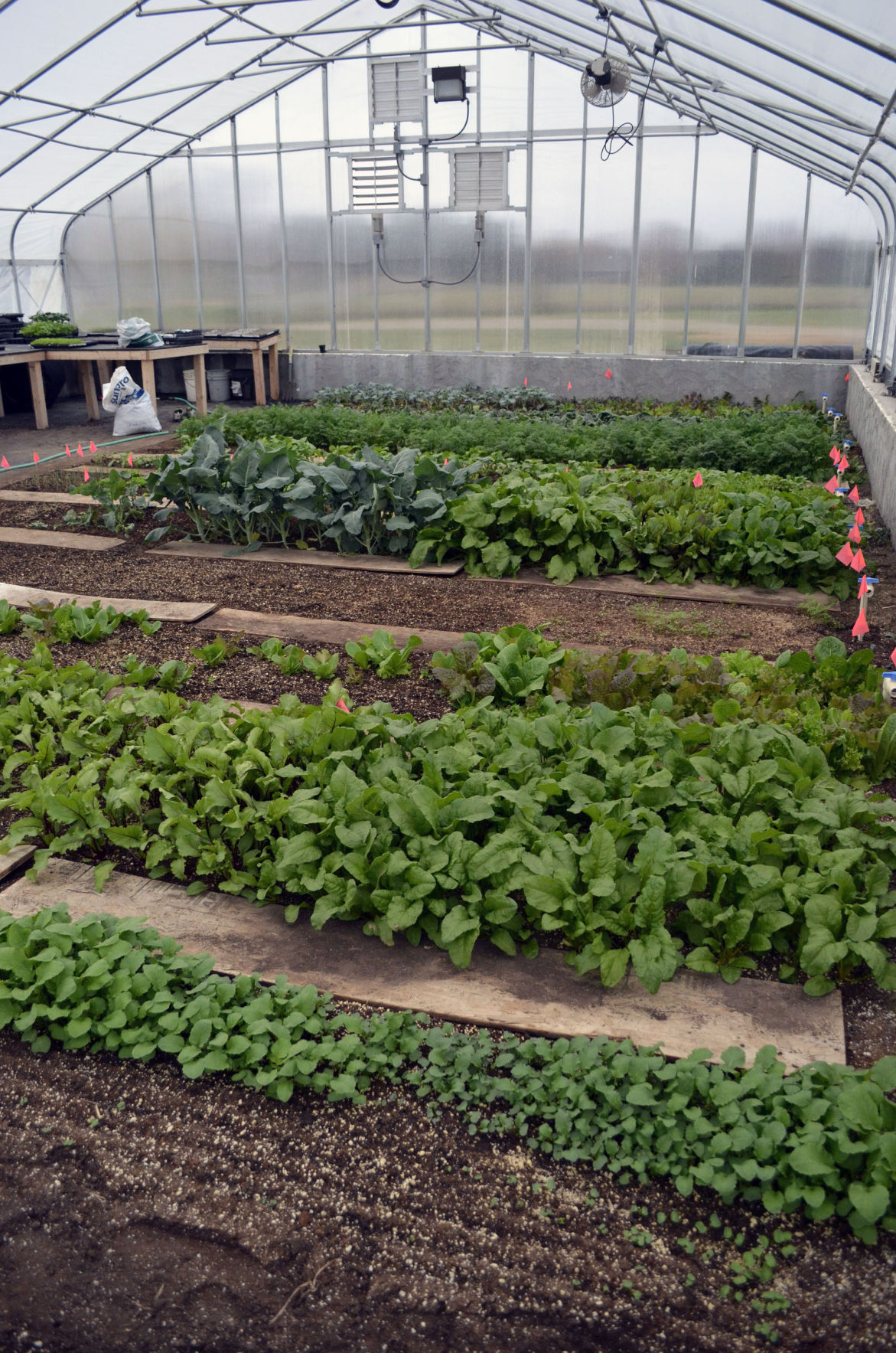 CCCColumbus greenhouse has growing potential Local