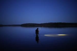 featured-image