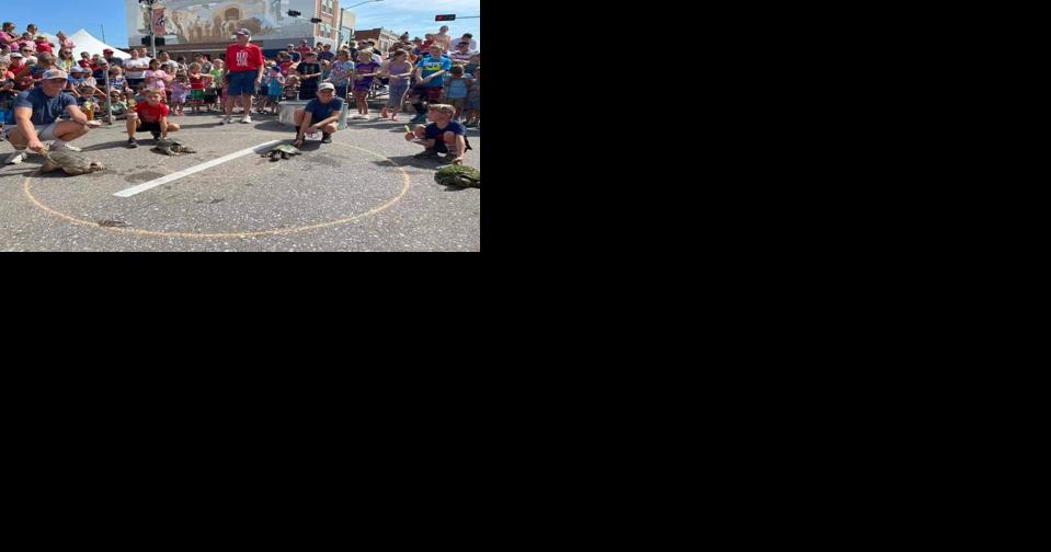 Olmer retiring as turtle race chairperson - Vimarsana News