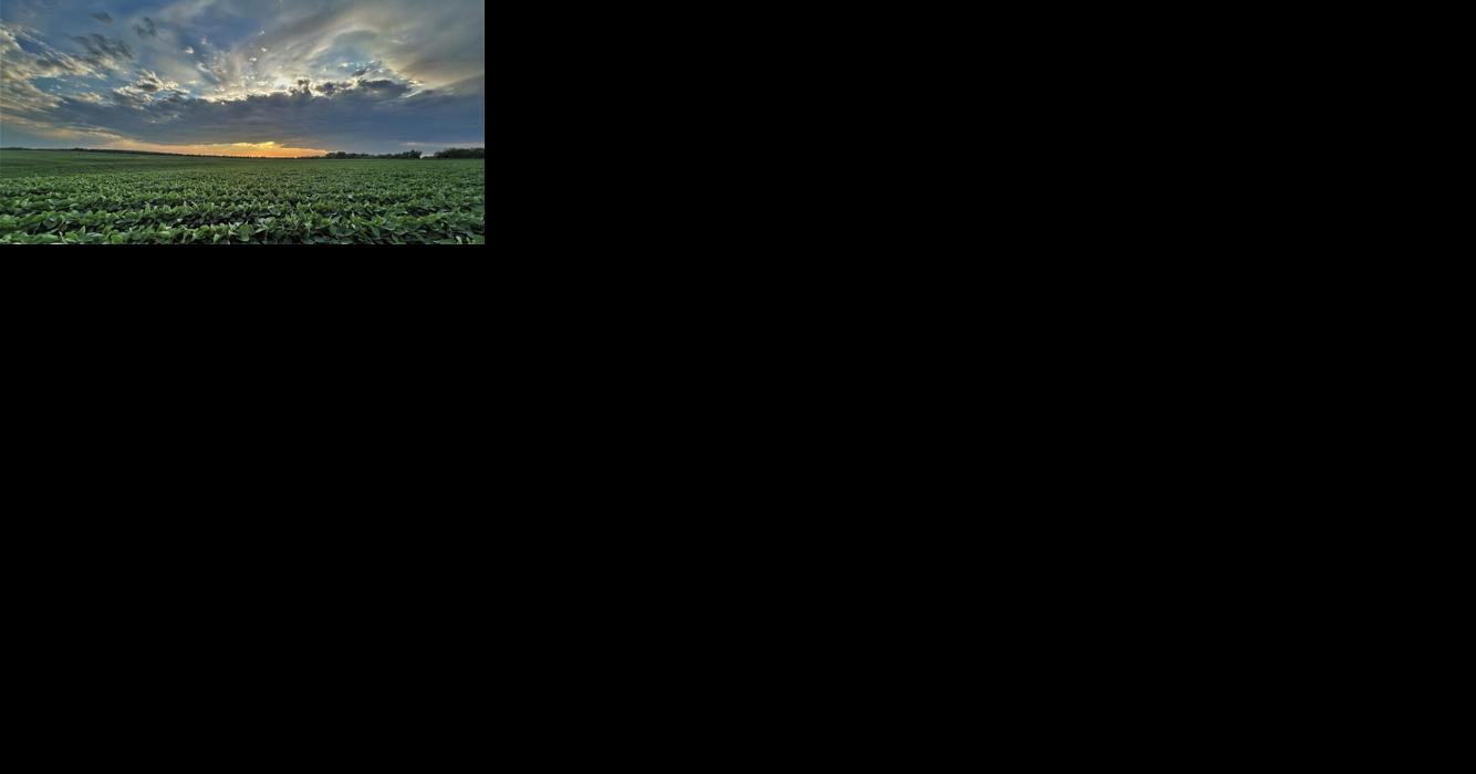 Lower Loup Natural Resources District photo contest entries due May 15 - Vimarsana News