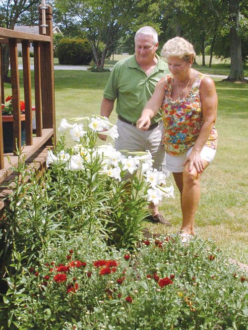 Annual Walk Features 9 Gardens Local News Commercial Annual Walk Features 9 Gardens Local