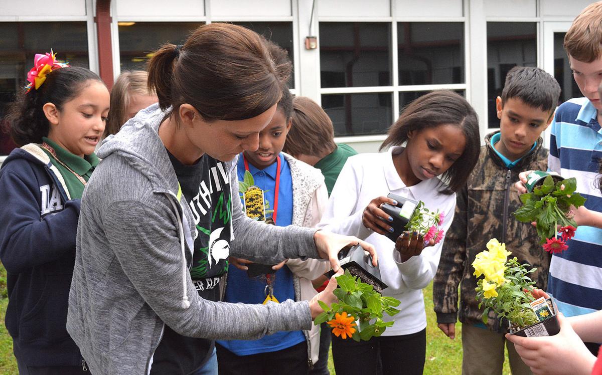 Abuzz about bees at South View