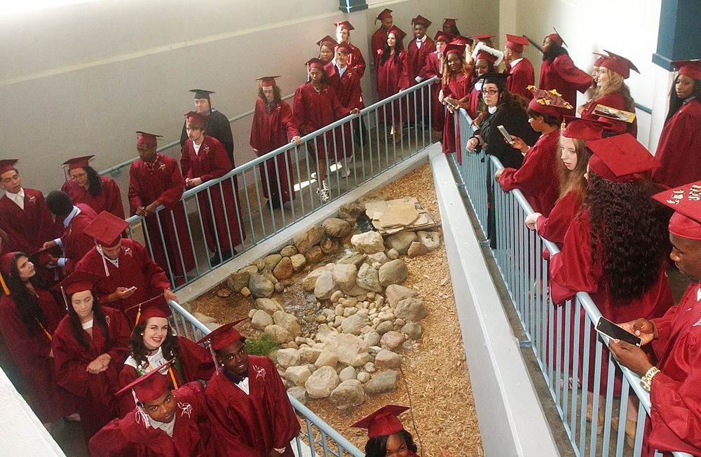 Danville High students celebrate graduation