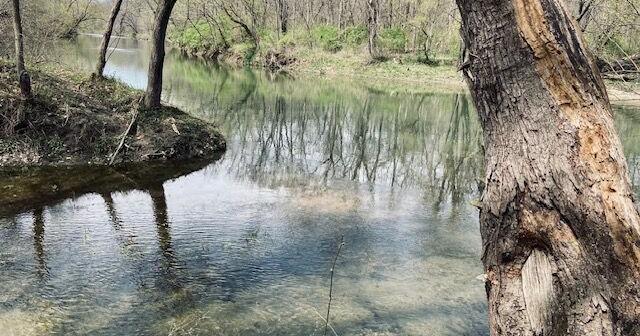 Days Gone By: 'Good news' for the Mouth of Jordon Reserve - Vimarsana News