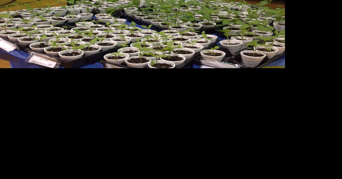 Vermilion County Master Gardeners to educate public on sustainable lawn care News commercial