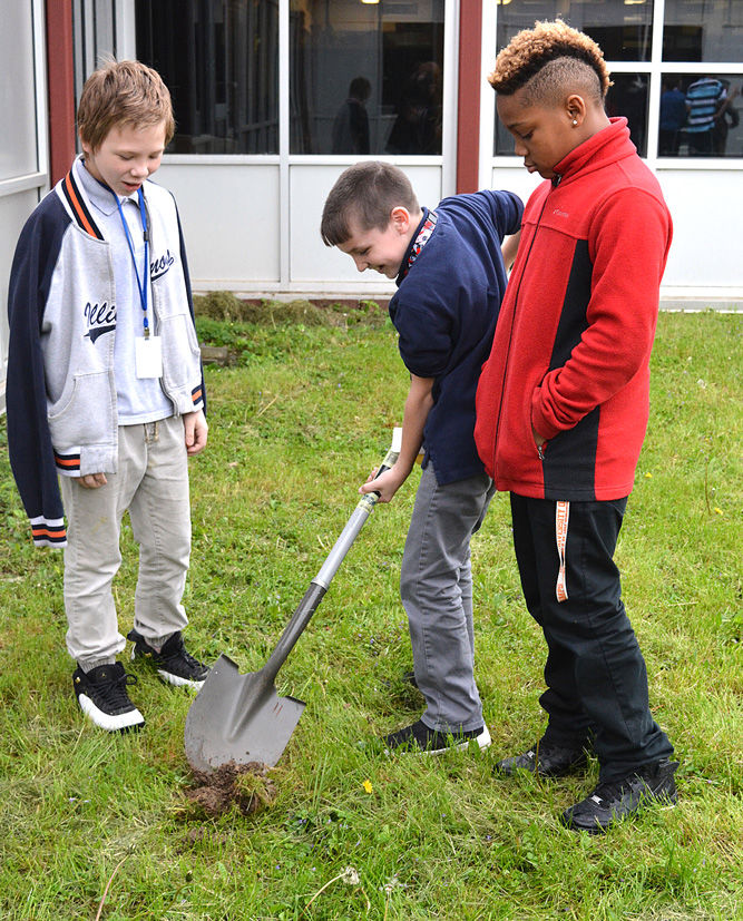 Abuzz about bees at South View