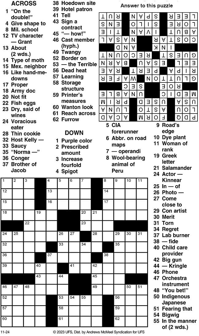 Crossword Puzzle Advice Comics for November 24 2023 Community