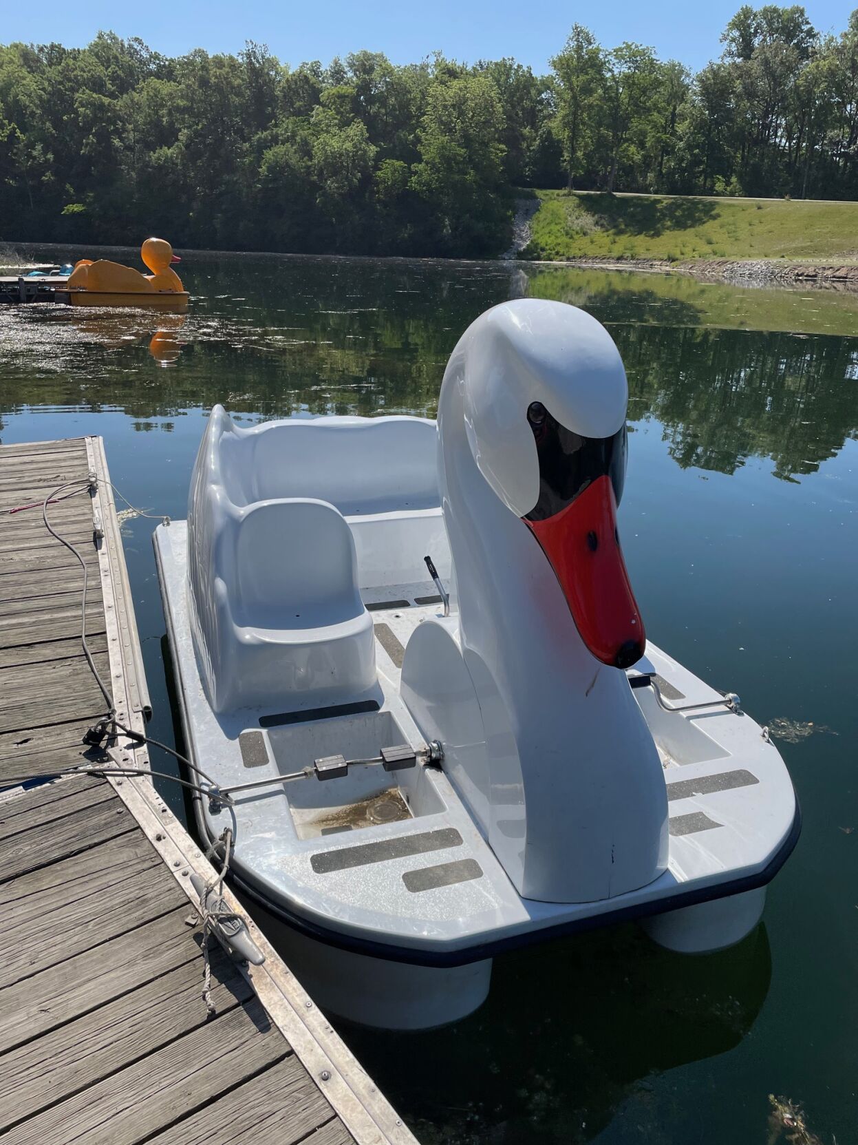 Summertime fun at Kickapoo State Park | Local News | commercial-news.com