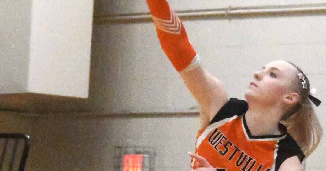 PREP VOLLEYBALL: Westville takes county title