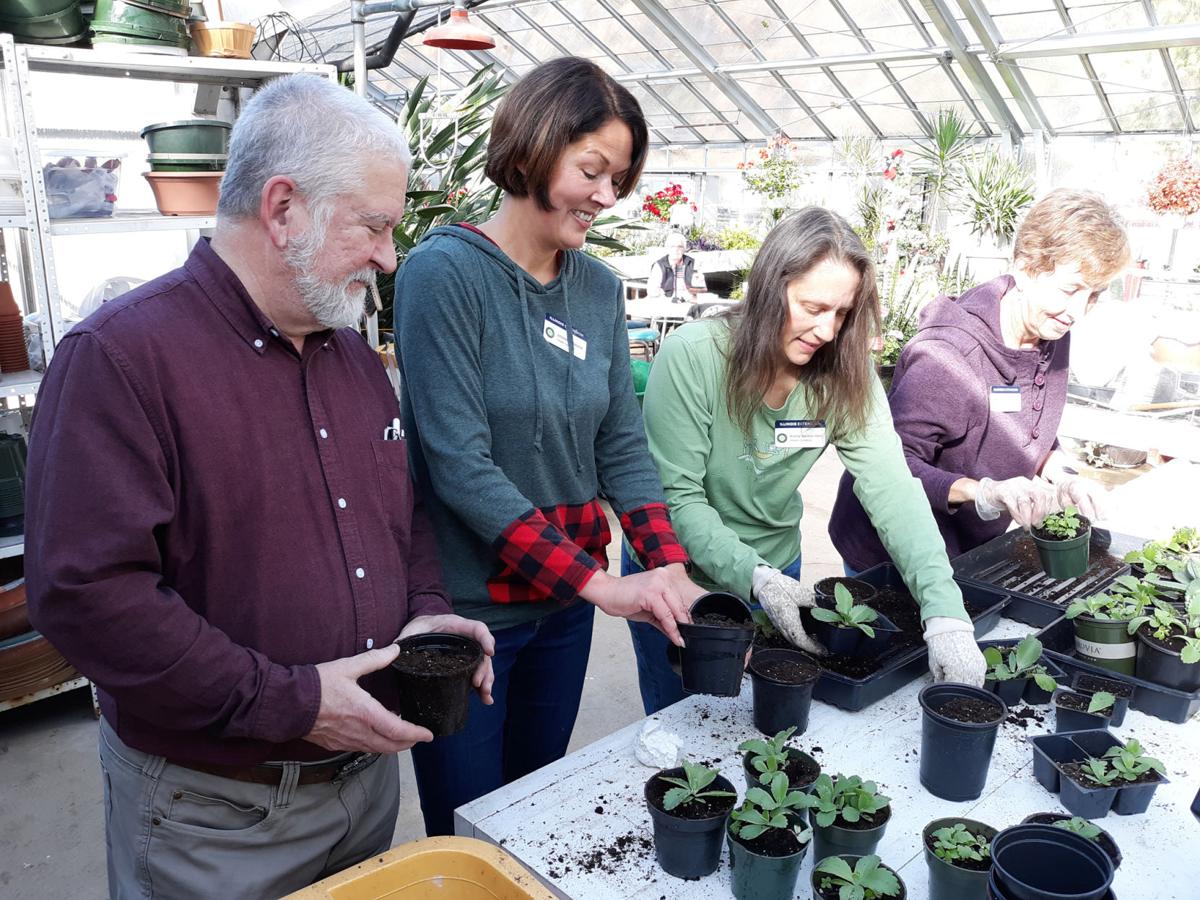 Master Gardeners Classes Begin In January Local News Commercial News Com