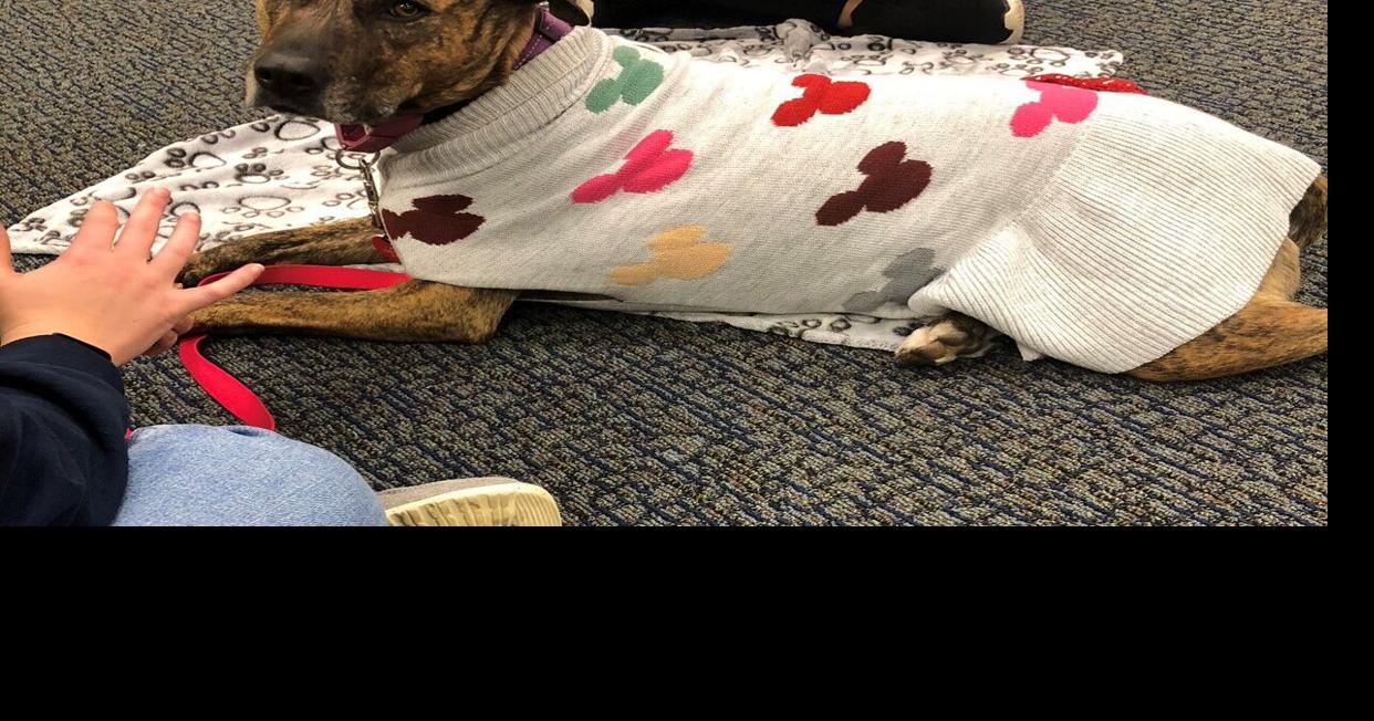 Therapy dogs to visit DACC Local News