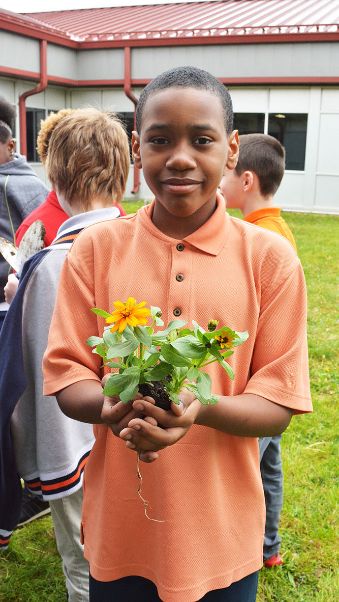 Abuzz about bees at South View