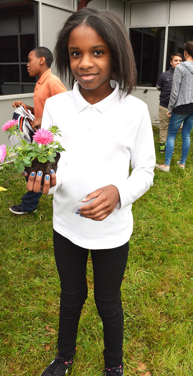 Abuzz about bees at South View
