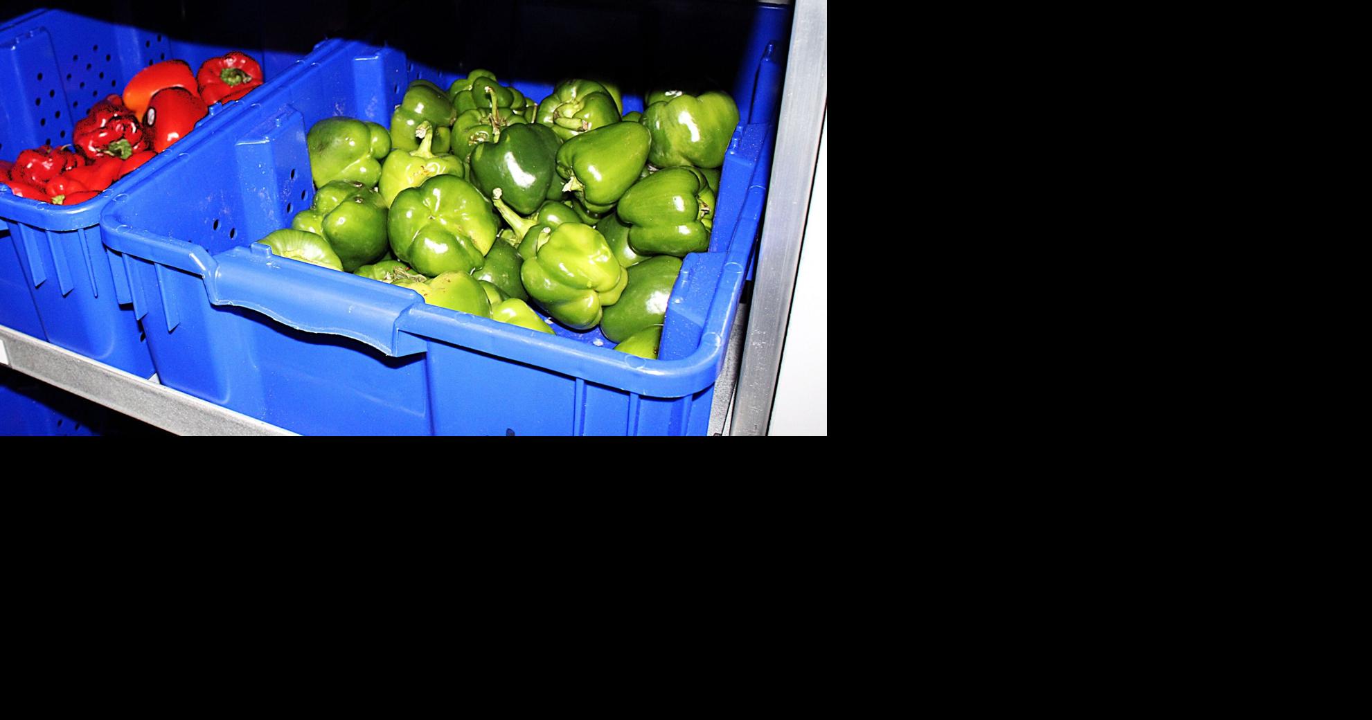 Carle's Mobile Market provides healthy eating options for Vermilion County